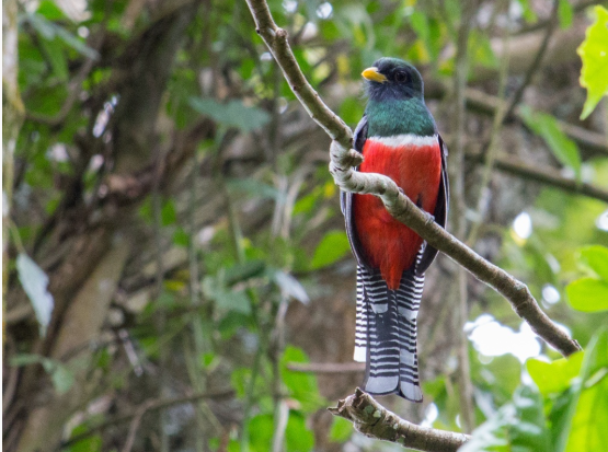 Parque Nacional del Agua Juan Castro Blanco